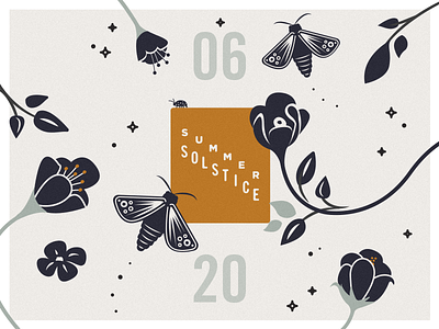 summer solstice butterfly fauna flora floral flower leaves moth season solstice summer vector