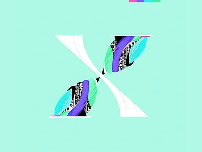 X type x
