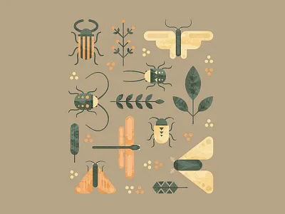 Bugs and herbs bugs flat illustration nature textures vector