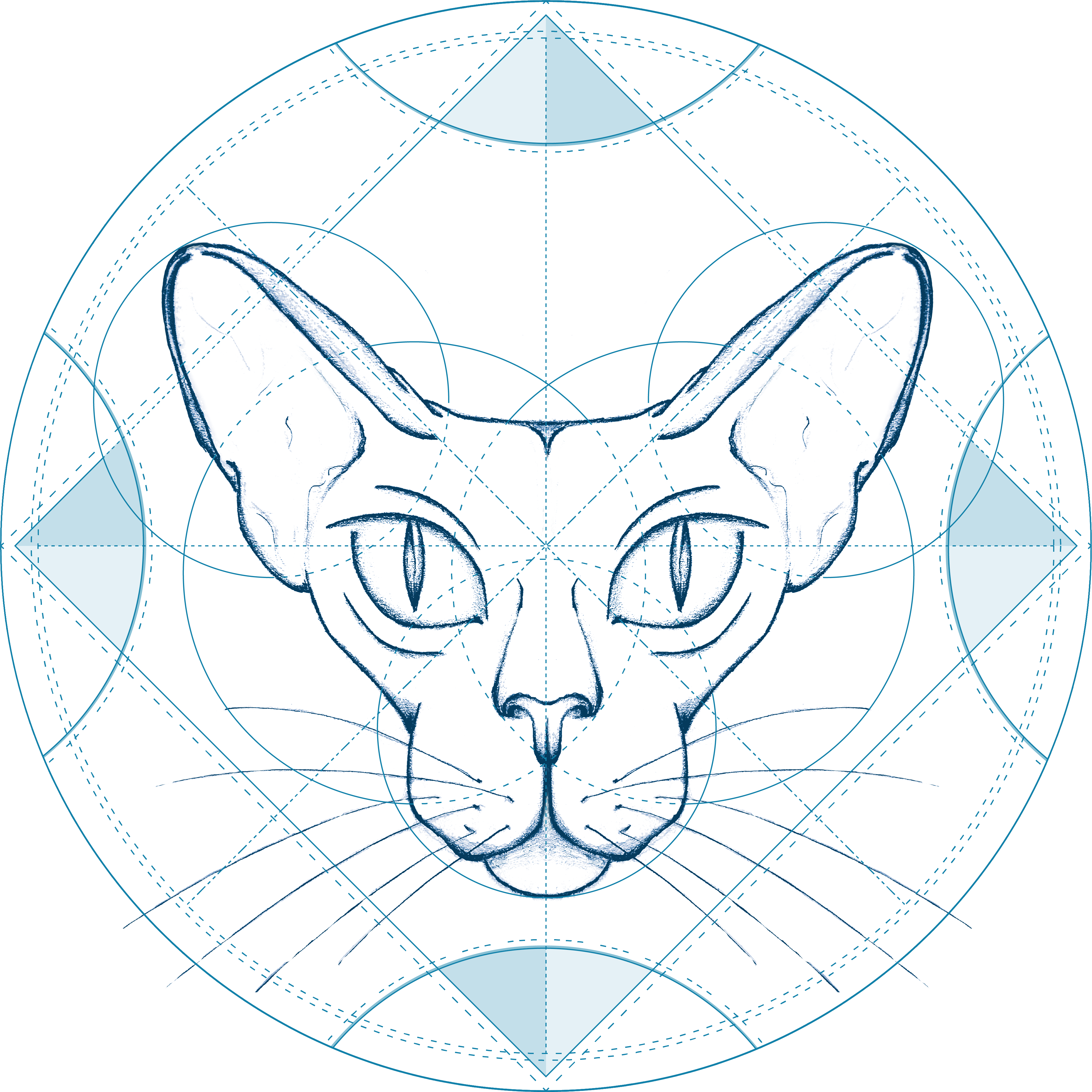 Sphinx animal cartoon cartoon illustration cat character design circle eyes illustration pink sphinx vector vector animal