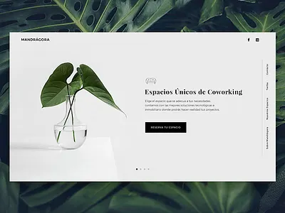 Mandrágora Coworking black coworking design desk icon landing plant ui web white