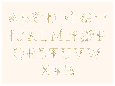 Spring Lettahs alphabet flower alphabet flowers letters typography
