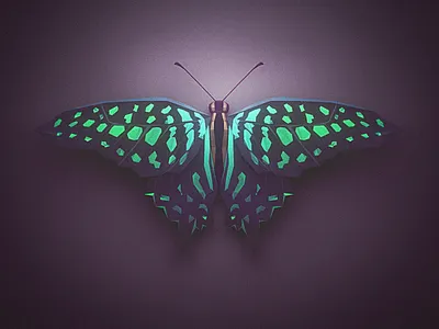 Low Poly Butterfly 3d animal blender butterfly low poly lowpoly nature