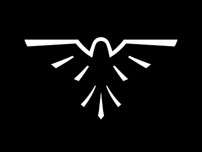 Falcon Logo Exploration bird falcon logo