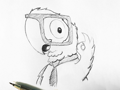 Psittacus Erithacus character design drwaing logo mascot pencil