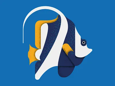 Moorish Idol animal fish moorish idol nature sea tropical