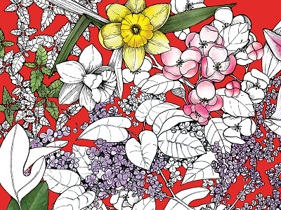 First Day of Spring apple blossom catnip daffodil design flowers illustration leaf lilac pattern sassafras secret midnight press spring