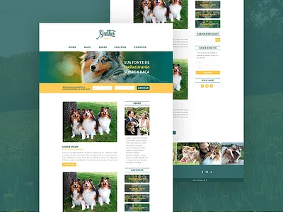 Shelties Dog blog dog pet pets sheltie dog shelties ui design web