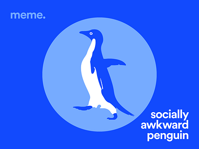 Socially Awkward Penguin advice animal awkward blue meme penguin