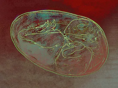 Lizard-Baby baby editorial egg illustration lizard