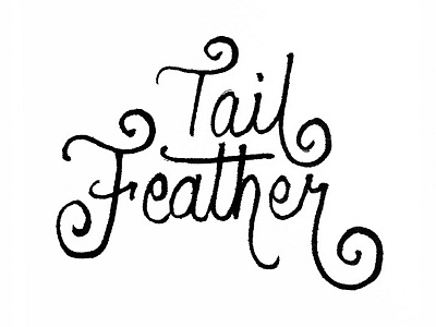 Tail Feather black and white brush brush calligraphy butts calligraphy design graphic design hand lettering ink pen pen and ink tail feather