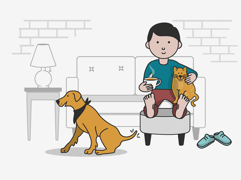 Fuzzy Confirmation Animation animal love animation cat sitting cool dog dog animation pet company pet logo relaxing tea