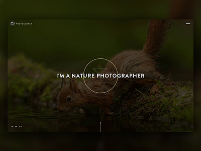 Photoscoper LIVE animals brand camera photography portfolio web wildlife