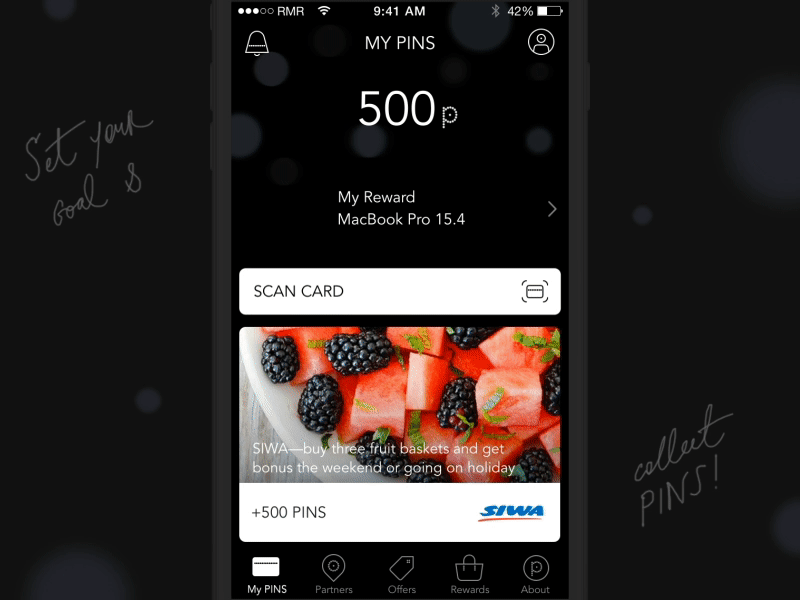 PINS App. A European Loyalty Program animation design ios iphone motion redmadrobot ui ux