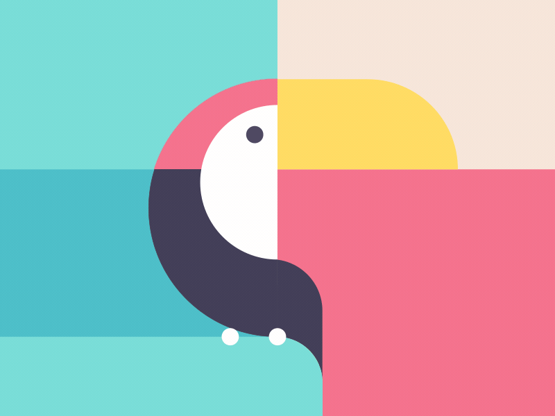 Animals animal bird fox minimalist rotate rotation sea slide sun toucan whale