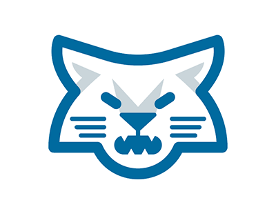 Go Wildcats! arizona basketball college football gonzaga sports wildcat wildcats