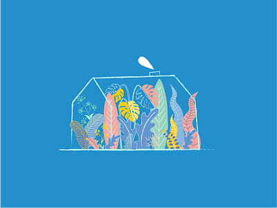 Home flora flower garden herb home house plants terrarium
