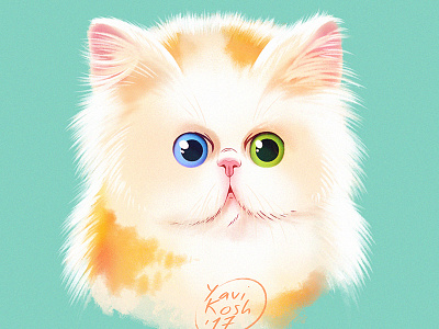 Kitten cartoon cat character character design illustration