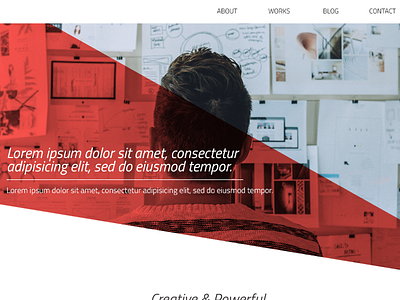 Landing Page css design html lorem ipsum web design wordpress