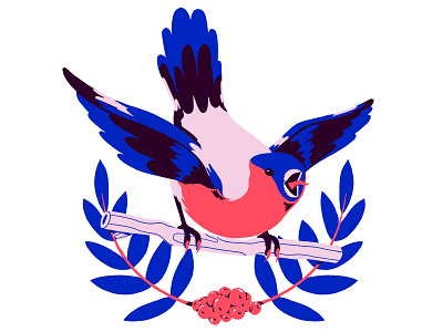 Bullfinch a berries bird exciting on title twig underneath