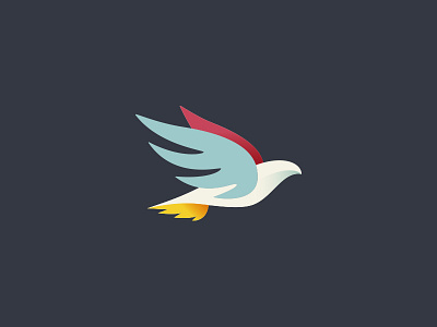 Providers United bird doctors health healthcare well being