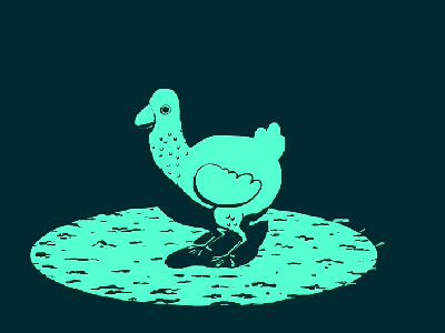 Oblivious Chicken animation chicken gif shadow wolf