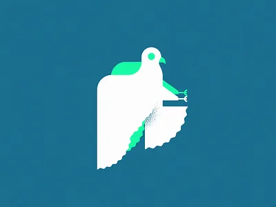 Freedom flight bird dove flight fly