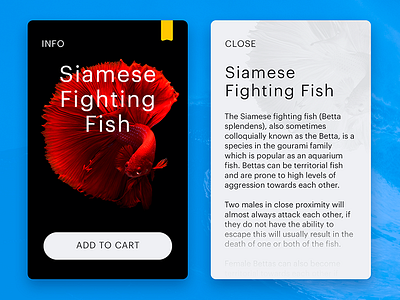 Siamese Fighting Fish animals card cart concept design fish shop ui ux