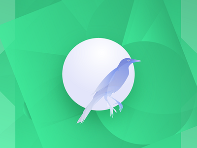 BirB adobe bird design graphic illustration illustrator minimalism vector vectors