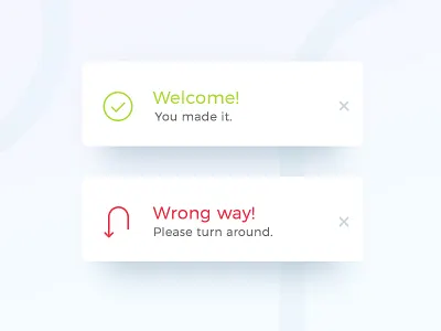 Daily UI #011 011 dailyui error flash message success ui