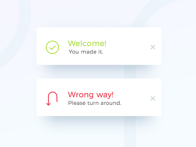 Daily UI #011 011 dailyui error flash message success ui