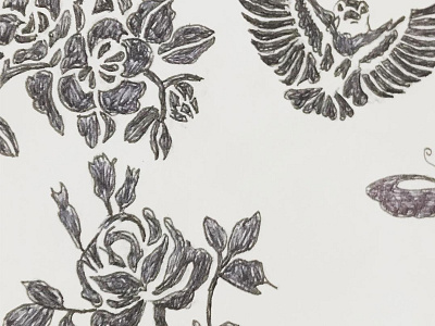 Pen Drawing art bird butterfly design doodle drawing flower linedrawing notepad pencil rose sketch