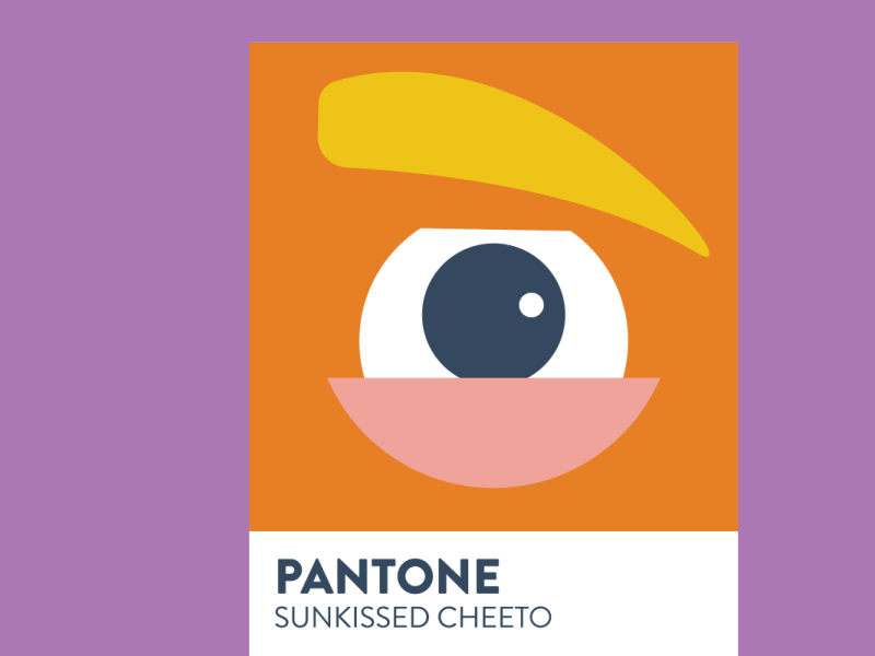 Trumptone Swatches pantone pantone swatches swatch trump trumptone