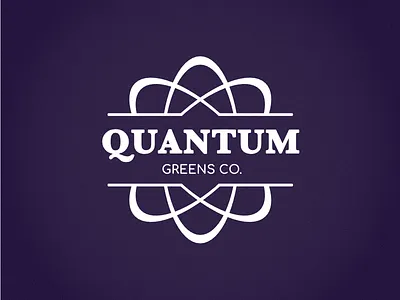 Quantum Logo branding design identity logo vector wordmark
