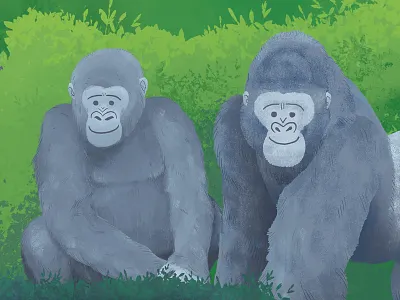 Wild About Gorillas ape children drawing forest gorilla green illustration invitation jungle kids monkey