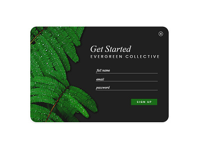 Dailyui 001 dailyui evergreen signup