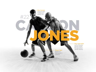 Marketing Graphic basketball infographic marketing stats