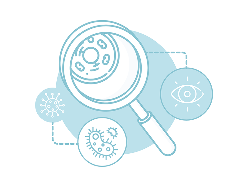 Microbiology Illustrations bacteria biology cell eye hourglass microbiology sand see time