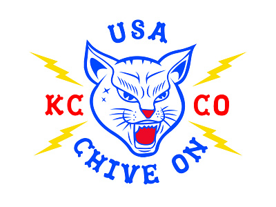 BLACK CAT 4th austin chive fireworks july kcco summer