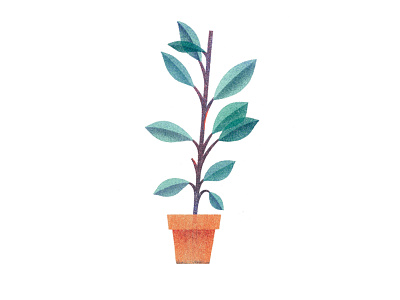 House Plant 1 design illustration leaves plant texture