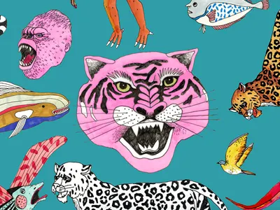 animals animals bird fish illustration lowart tiger