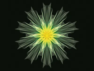 shape illuatrator shape