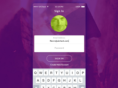 Sign In app design in ios iphone login sign sketch ui ux wireframe