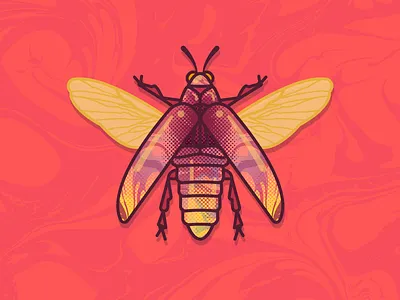 Jewel Beetle beetle bugs illustration insects sketch vector