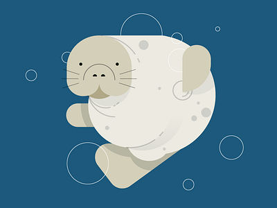 Manatee blue bubble circle cow manatee sea