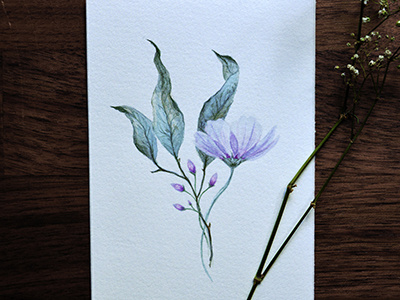 Delicate botanical botany flowers illustration illustrator nature painting traditional art watercolor watercolour