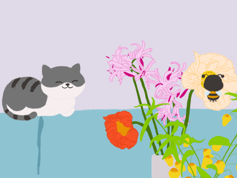 Interactive dynamic effect love life animal app interesting originality screen splash