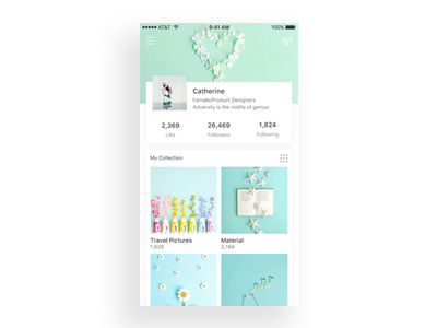 collection app design ui