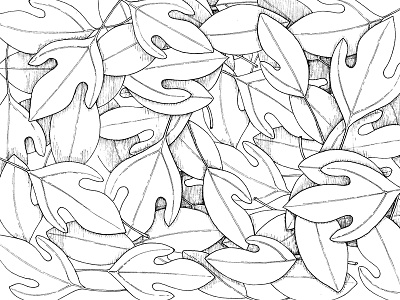 Sassafras Pattern ink leaves line pattern pen sassafras secret midnight press spring