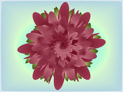 Red flower flower illustration illustrator red